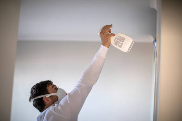Best Best Mold Removal Companies  in Libertyvle, IL