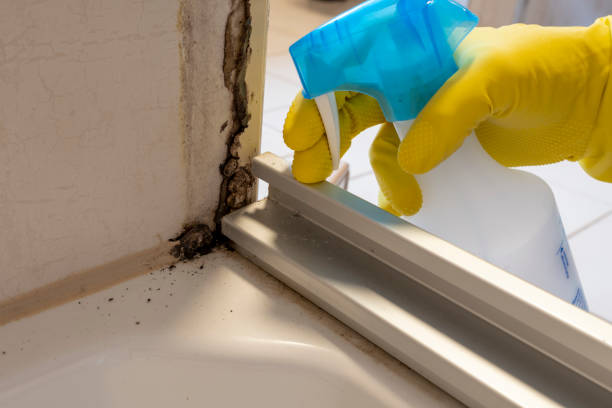 Best Fast Mold Removal  in Libertyvle, IL