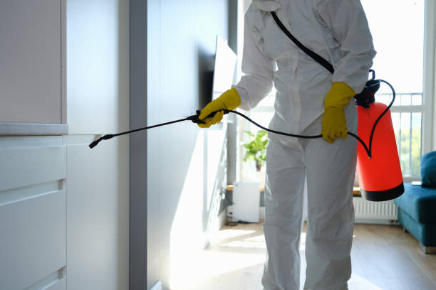 Best Residential Mold Removal  in Libertyvle, IL