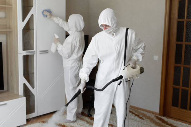 Best Mold Removal Near Me  in Libertyvle, IL