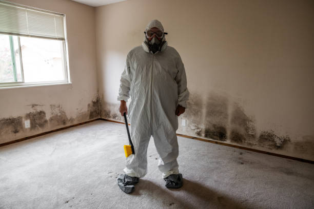 Best Mold Testing  in Libertyvle, IL